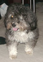 Max2